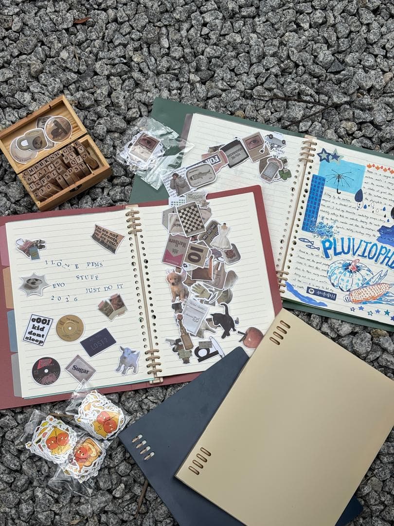 Wild Builders Notebook