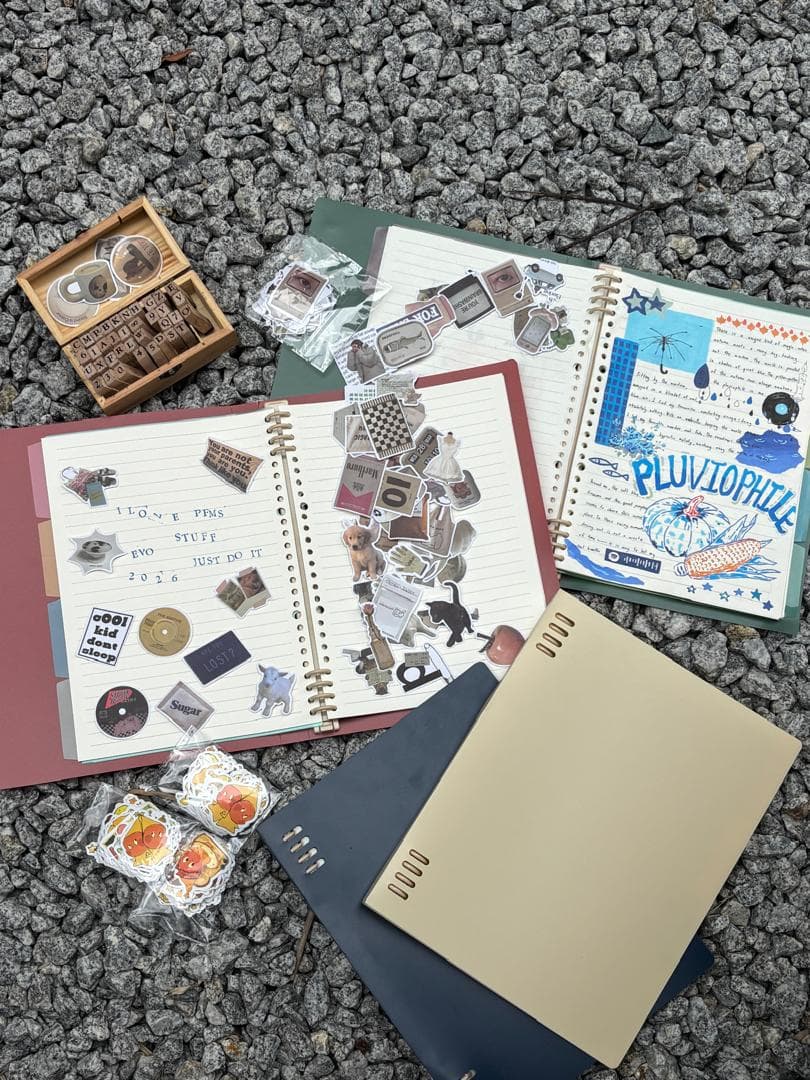 Wild Builders Notebook