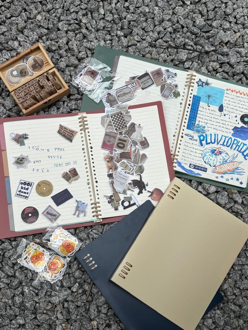 Wild Builders Notebook