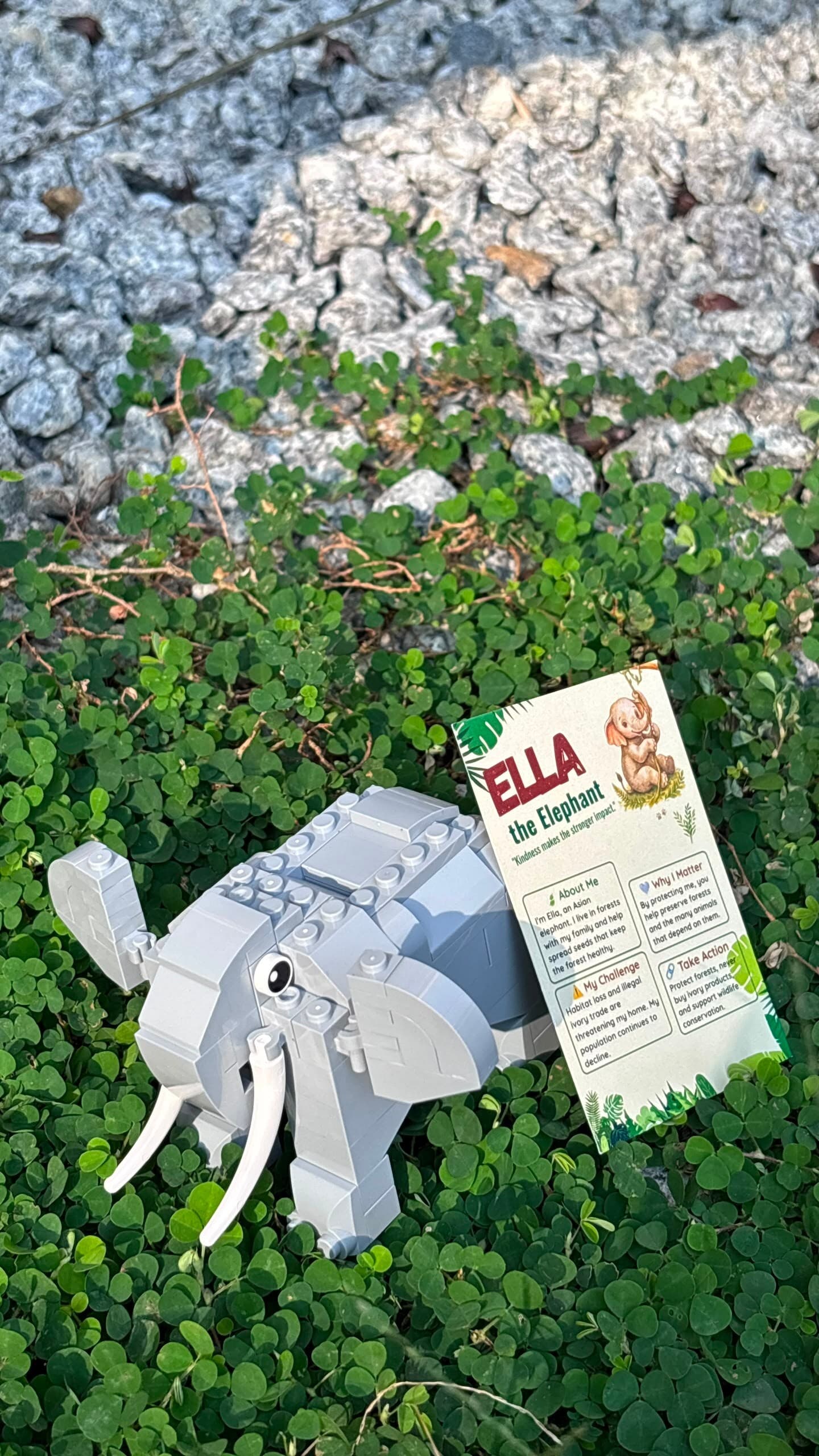 Wild Journey Blind Box
