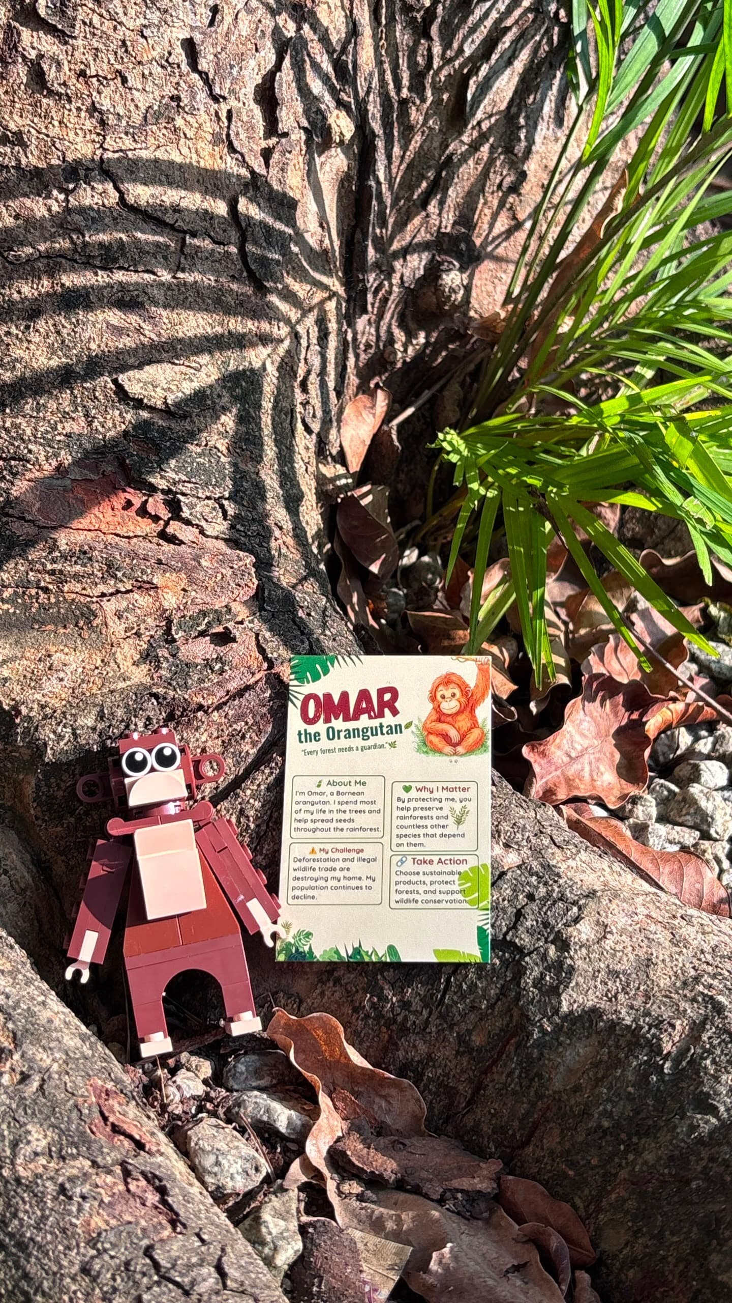 Wild Journey Blind Box