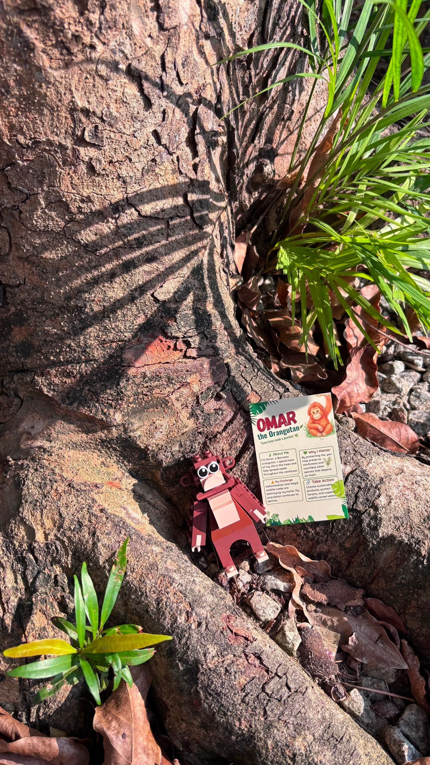 Wild Journey Blind Box