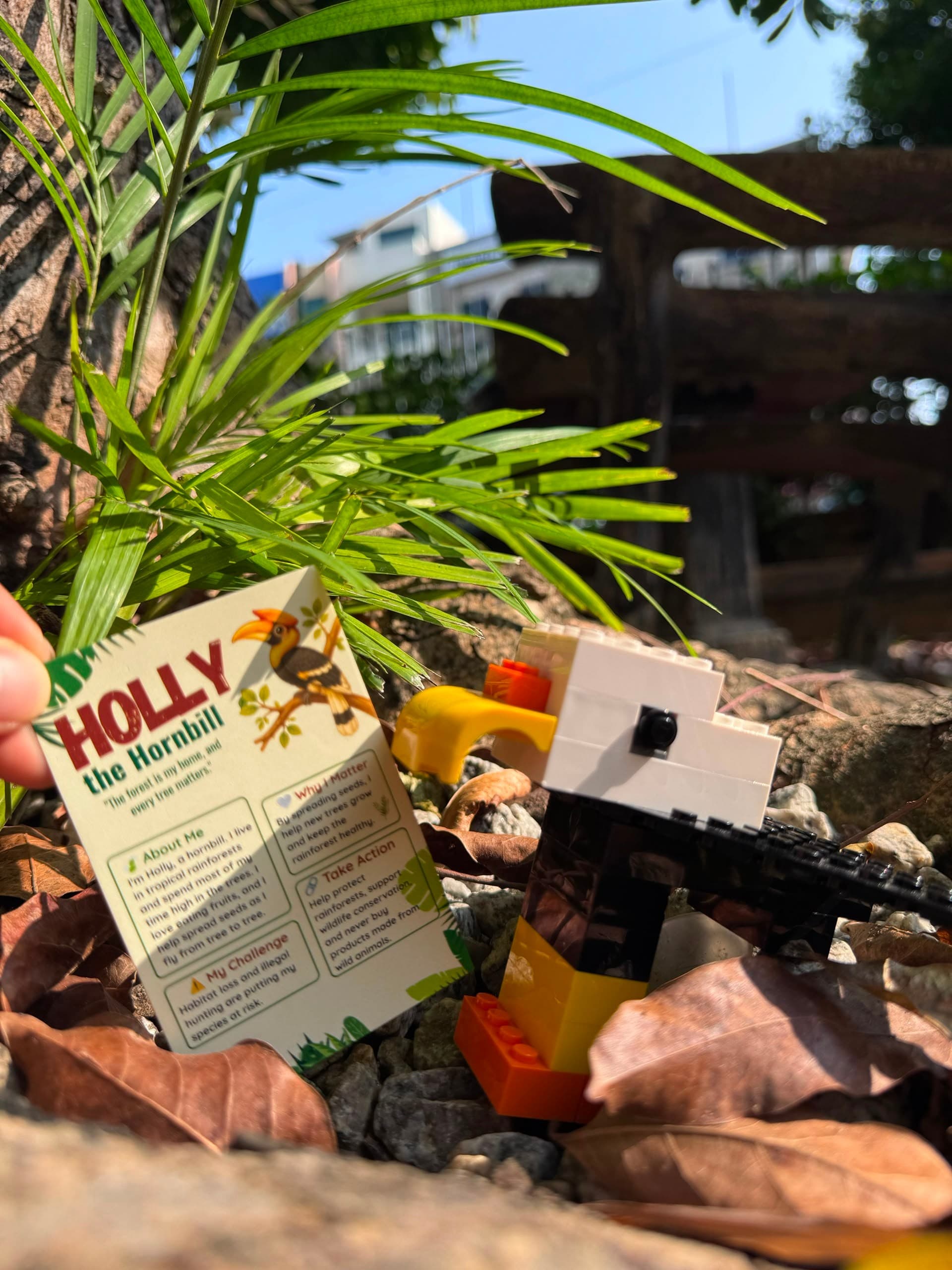 Wild Journey Blind Box