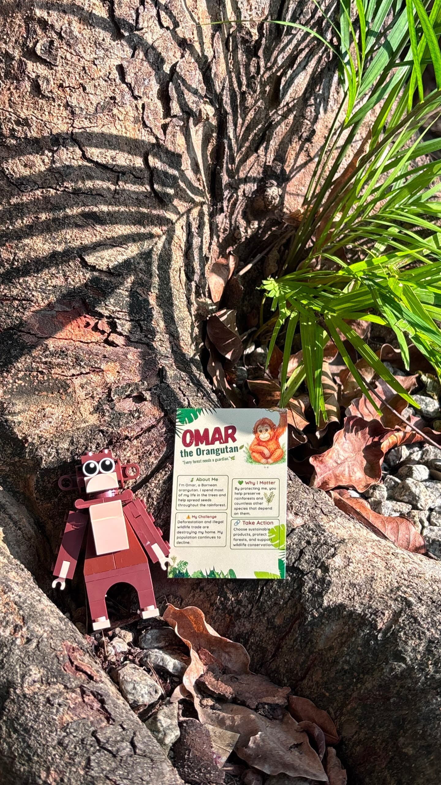 Wild Journey Blind Box