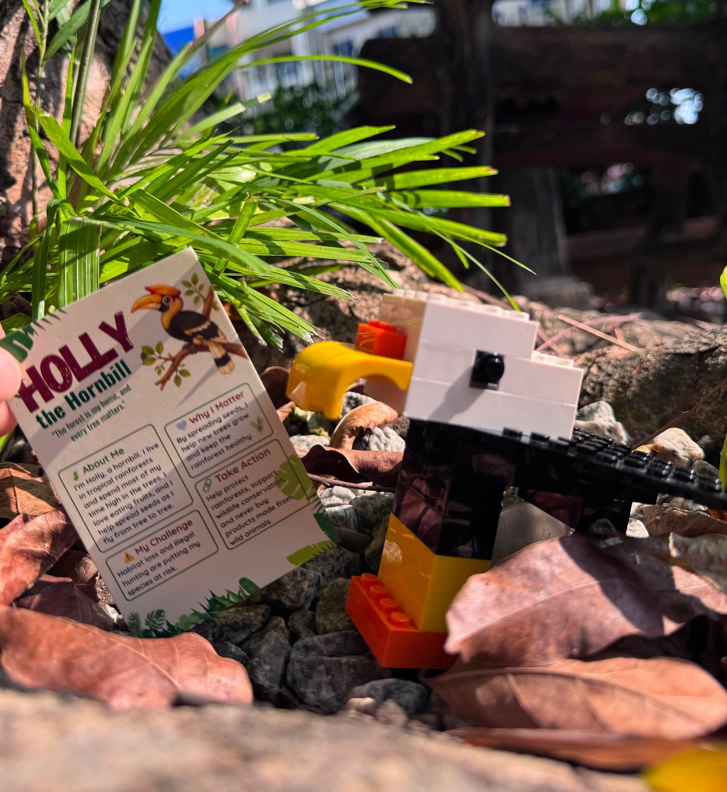 Wild Journey Blind Box