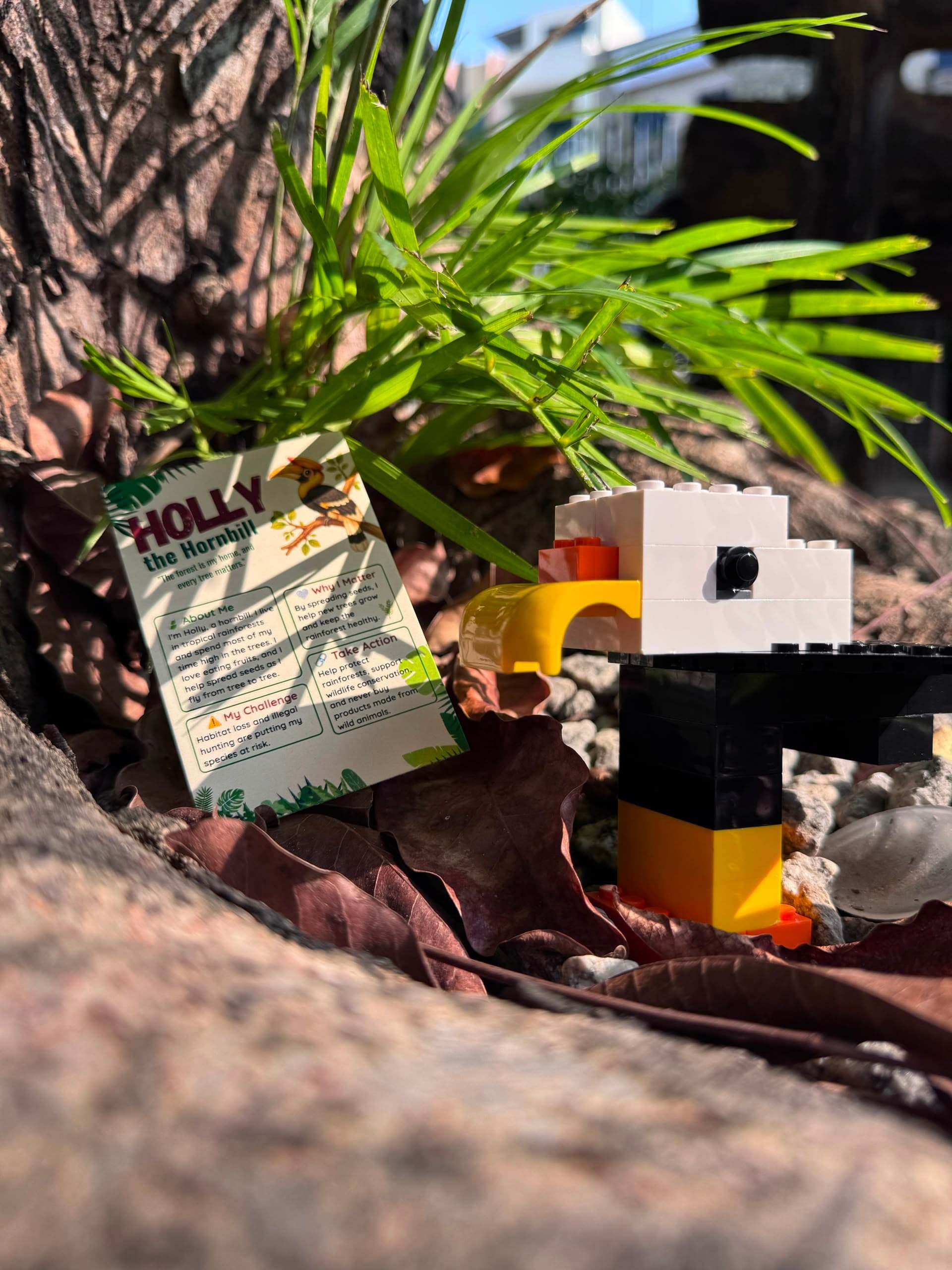 Wild Journey Blind Box